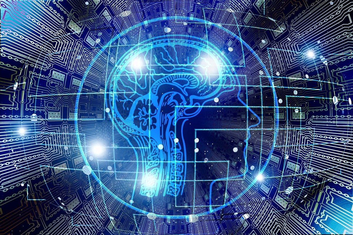 AI Meeting Assistants: Privacy, Accuracy, and Workflow