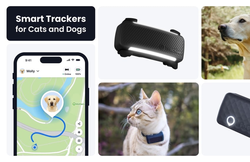 Tractive